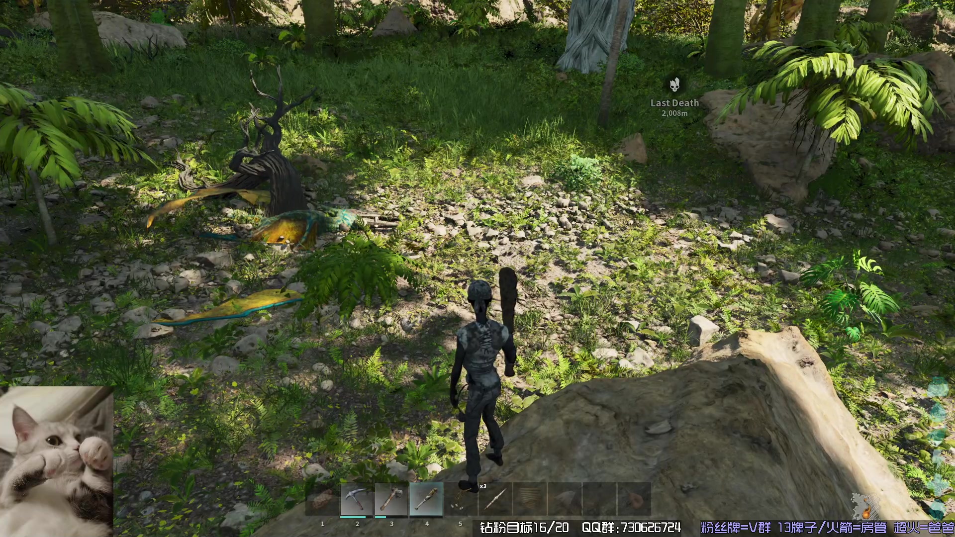 【2023-11-16 19点场】东方不败Athena：方舟，十一月生存，喵~