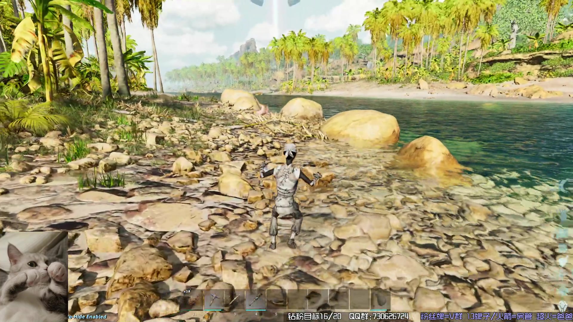 【2023-11-16 17点场】东方不败Athena：方舟，十一月生存，喵~