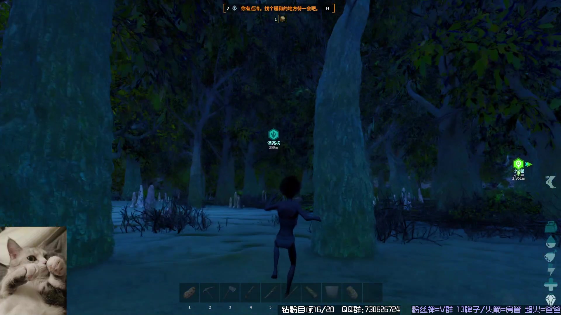 【2023-11-17 19点场】东方不败Athena：下午见，十一月生存，喵~