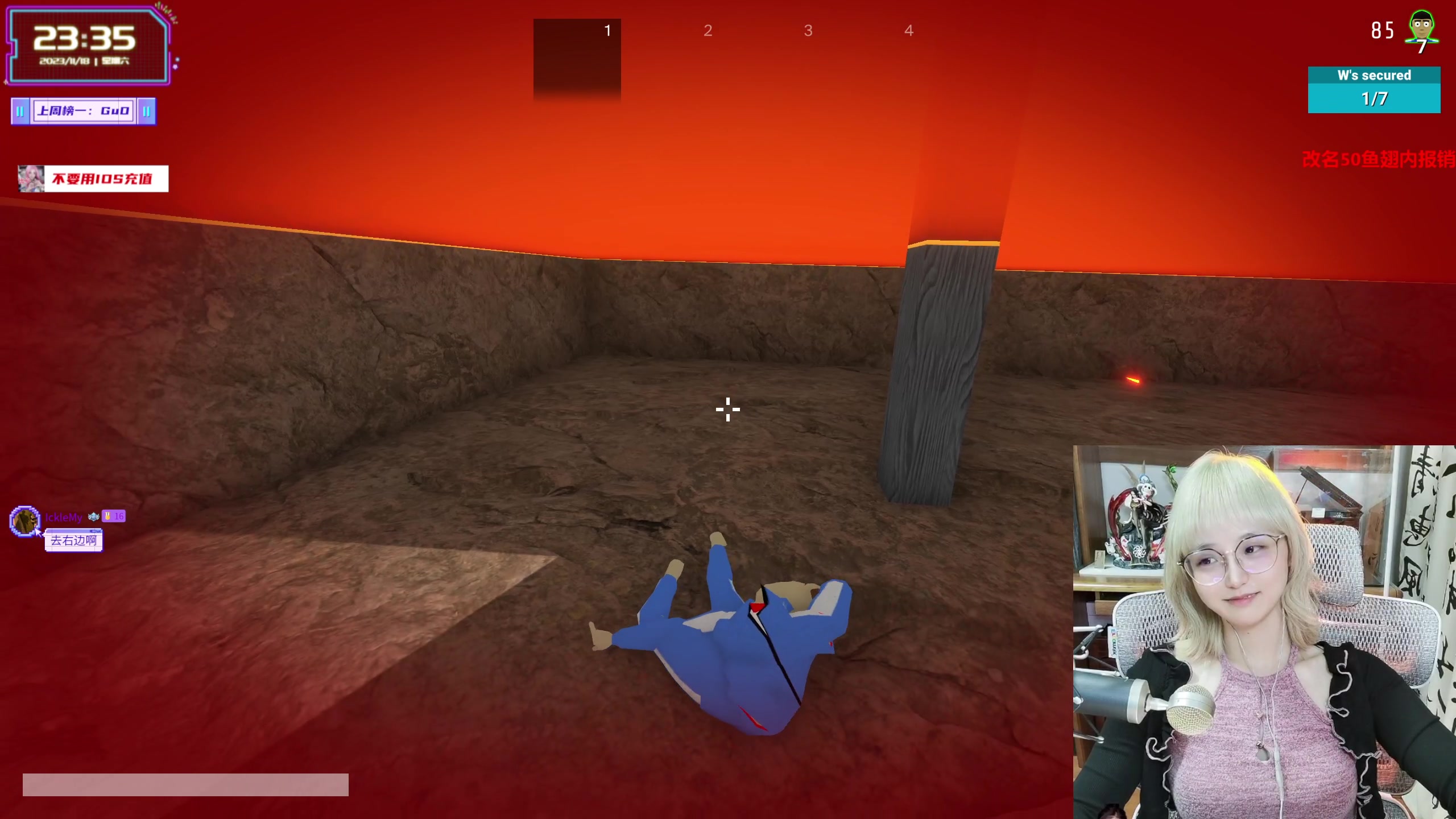 【2023-11-18 23点场】宝贝薇阿：薇薇：有风的地方