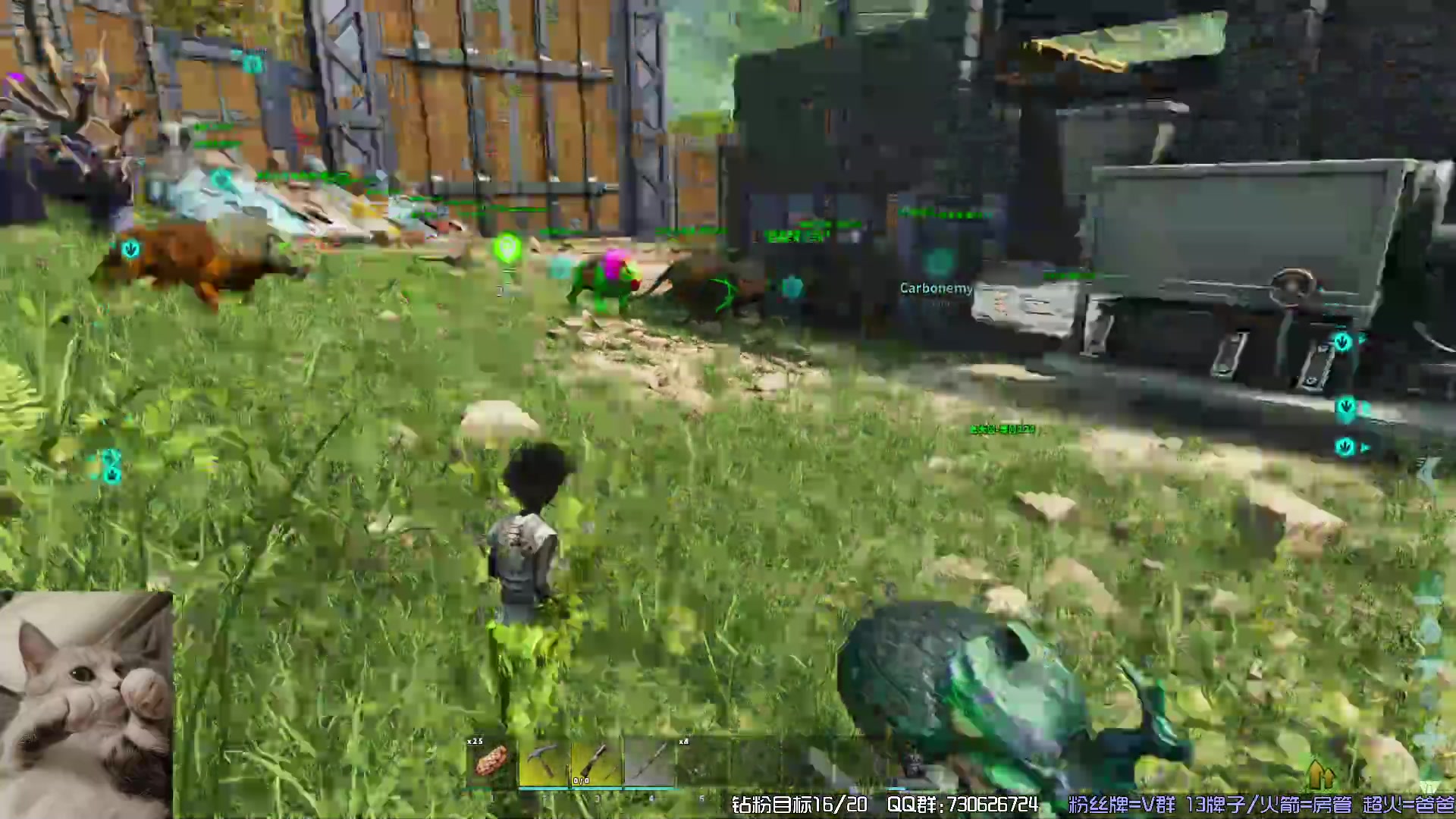 【2023-11-19 03点场】东方不败Athena：方舟启动！十一月生存，喵~