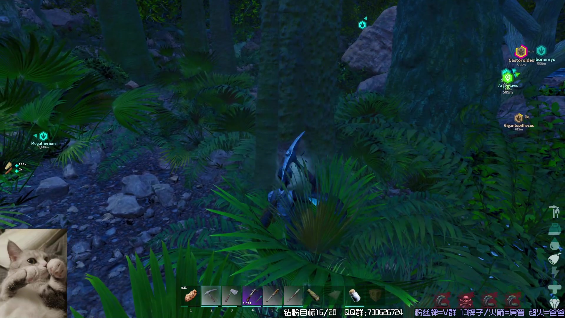 【2023-11-17 21点场】东方不败Athena：下午见，十一月生存，喵~