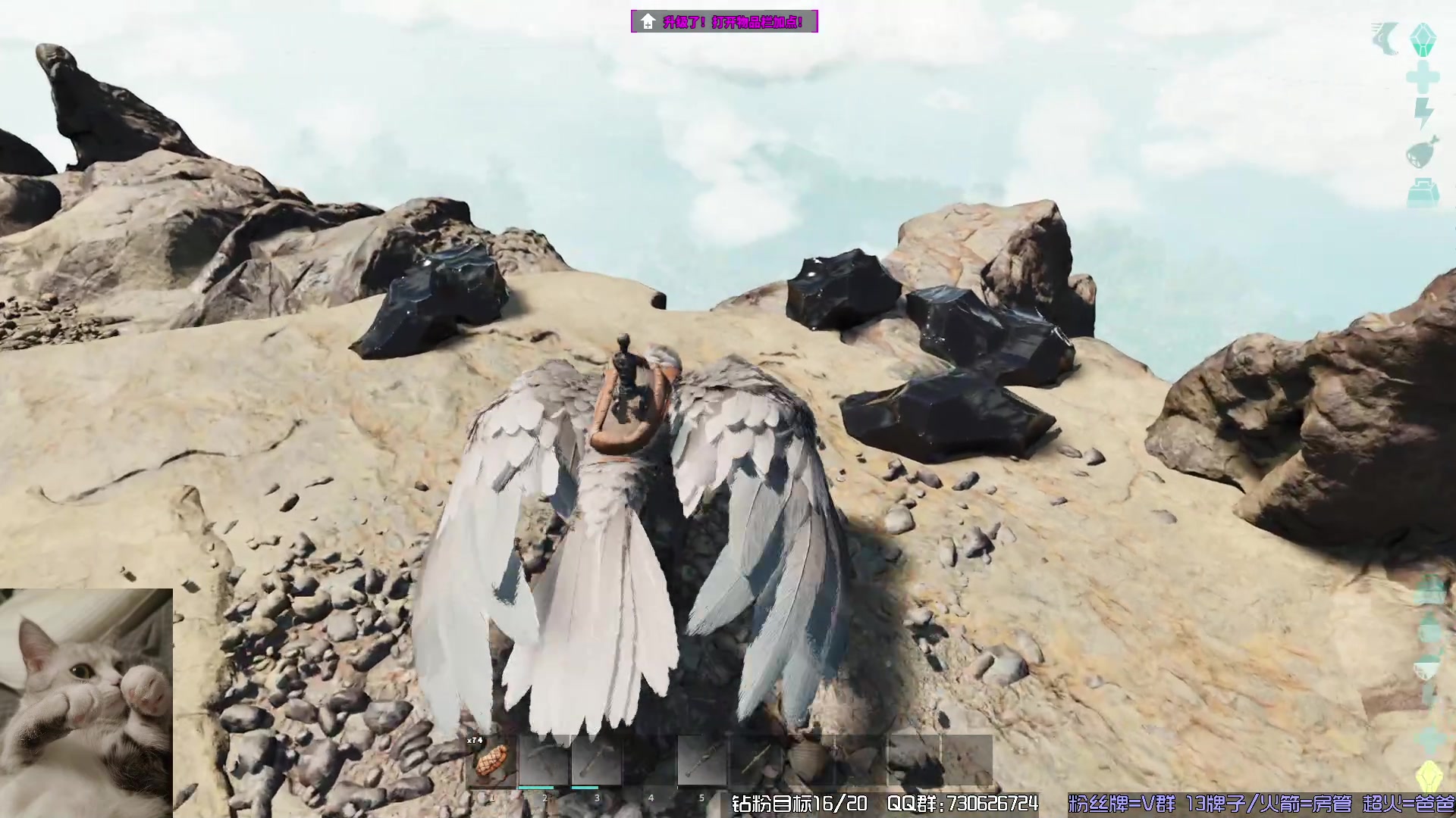 【2023-11-16 21点场】东方不败Athena：方舟，十一月生存，喵~