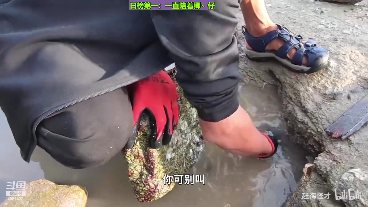 【2023-11-13 23点场】迷人的卿姐姐i：回顾一下我们曾经的快乐时光吧~