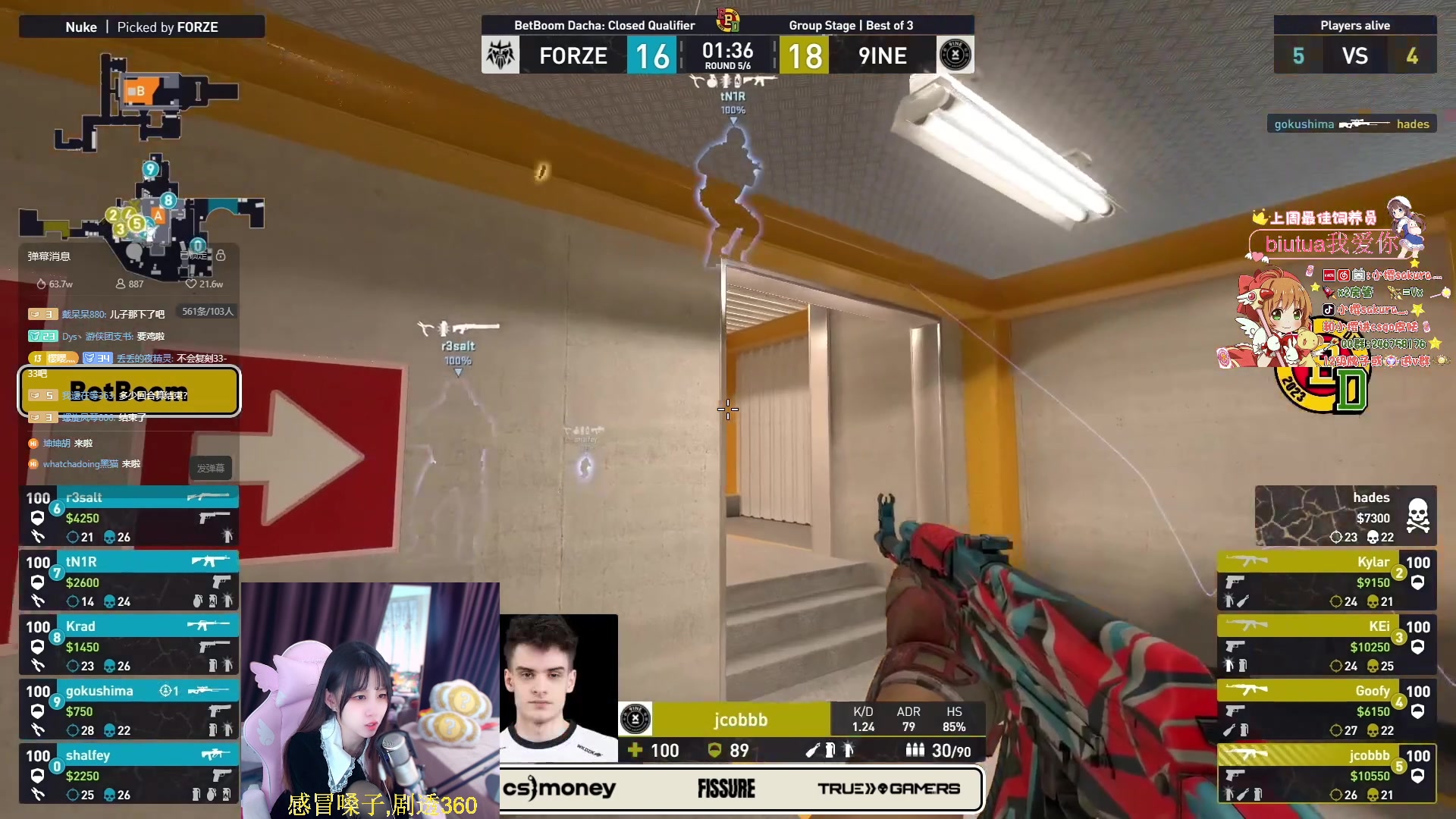 【2023-11-19 22点场】小樱sakura灬：【小樱】黑豹 VS 小熊猫