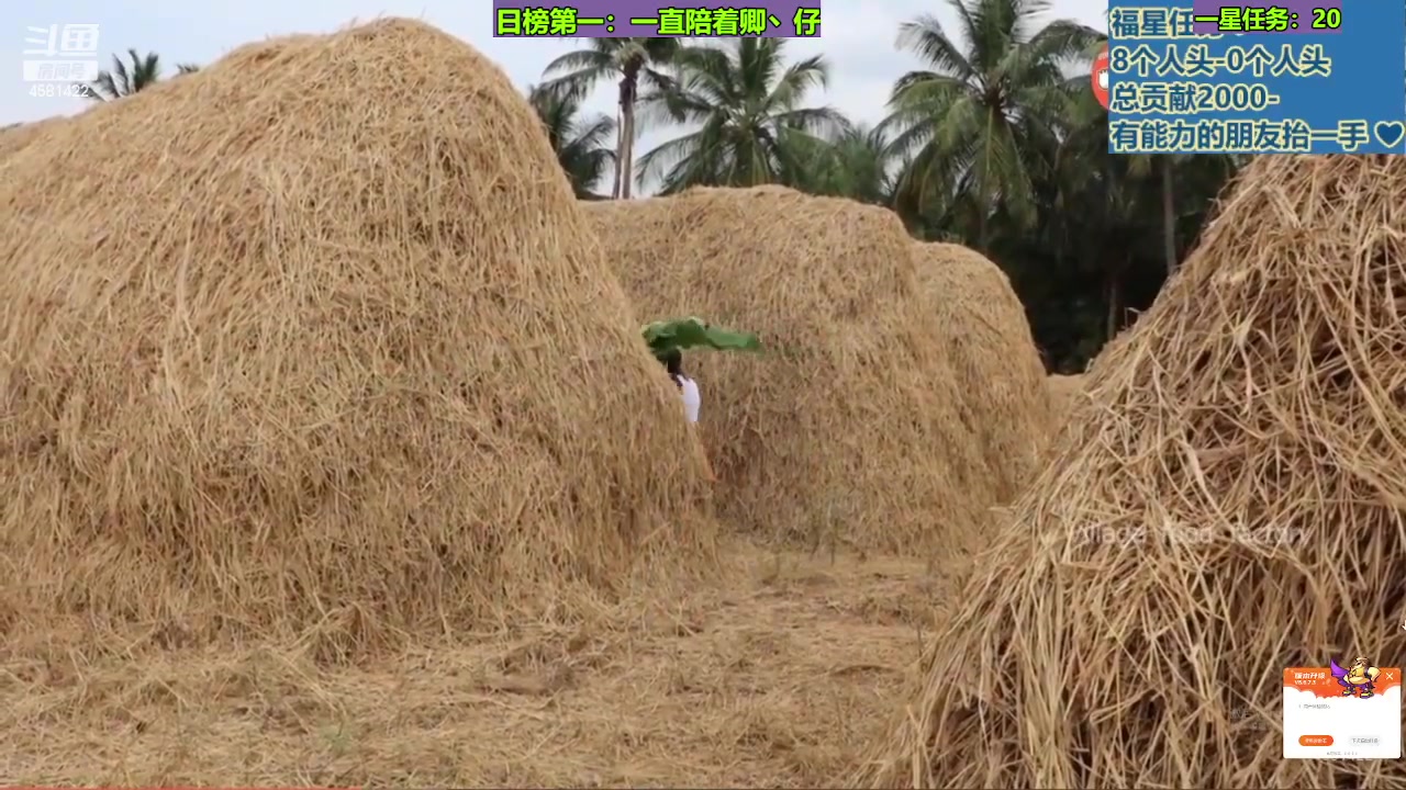 【2023-11-17 14点场】迷人的卿姐姐i：欢乐的时光开始了 4581422