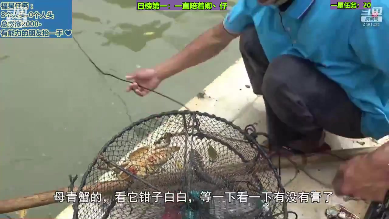 【2023-11-17 12点场】迷人的卿姐姐i：欢乐的时光开始了 4581422