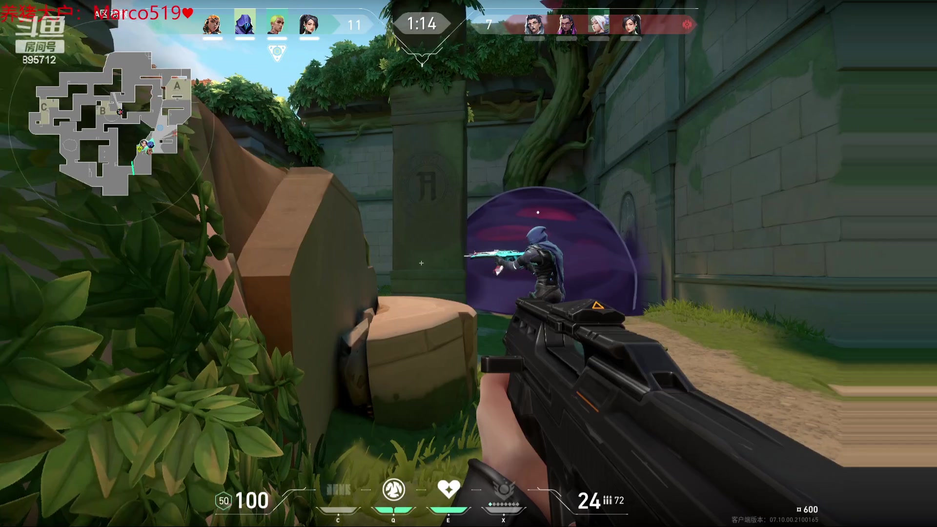 【2023-11-21 03点场】一只蘇l：蘇宝：蜻蜓队长出列！