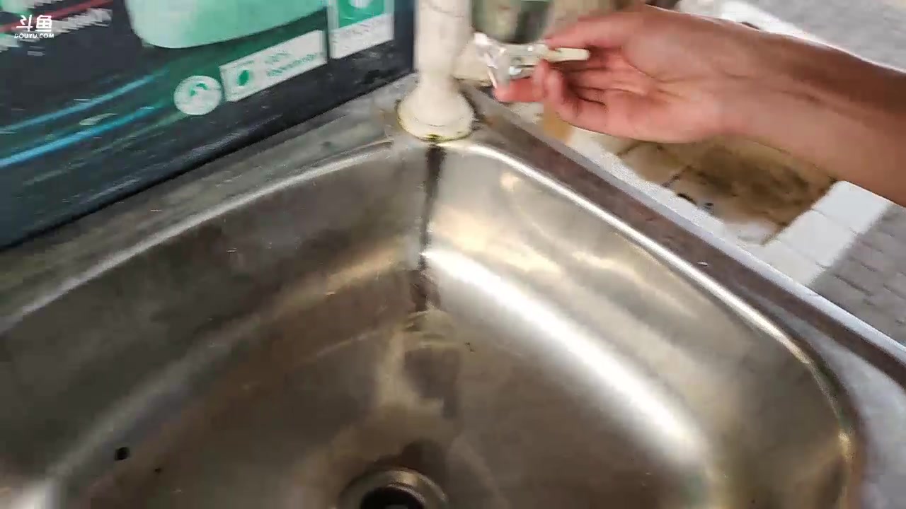 【2023-11-14 17点场】叶子户外：《纪实直播》斯里兰卡day6