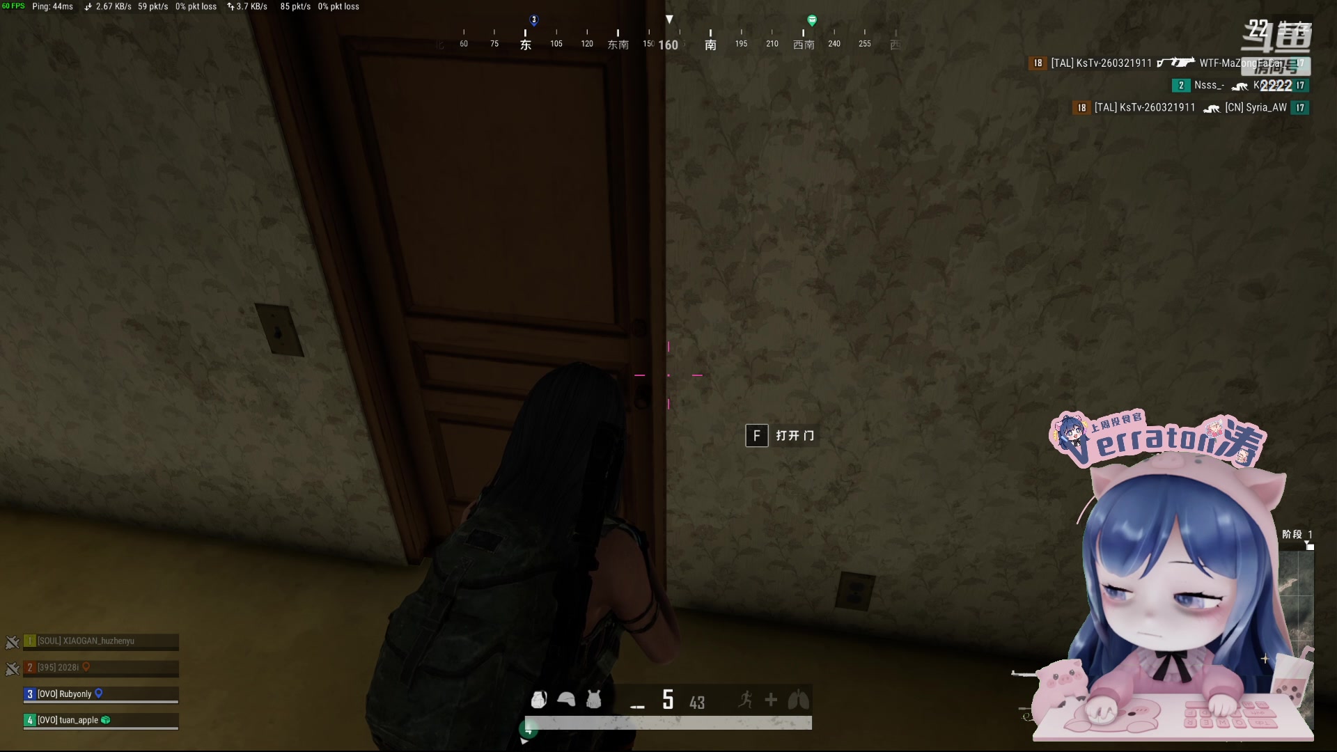 【2023-11-21 19点场】一条小团团OvO：今天拔牙牙，牙痛痛