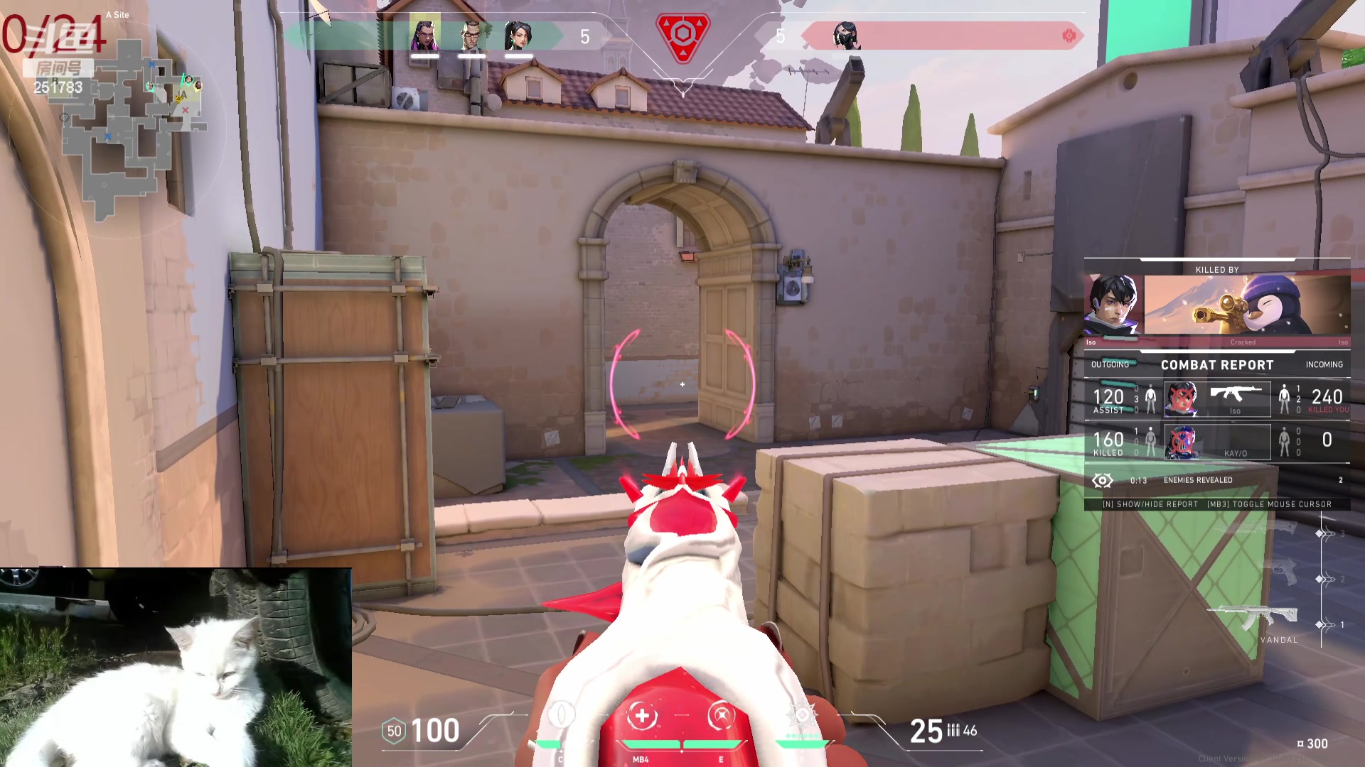 【2023-11-21 07点场】暴走的银剑君丶：银剑君：猎枭王倒了