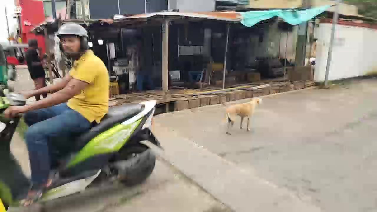 【2023-11-13 17点场】叶子户外：《纪实直播》斯里兰卡day5