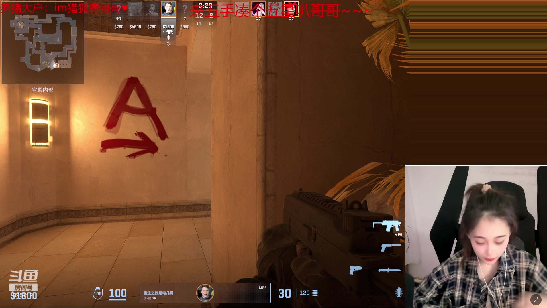 【2023-11-18 03点场】一只蘇l：蘇宝：被雪困住啦