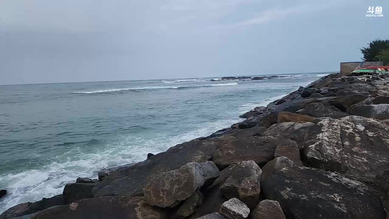 【2023-11-16 19点场】叶子户外：《纪实直播》斯里兰卡day8