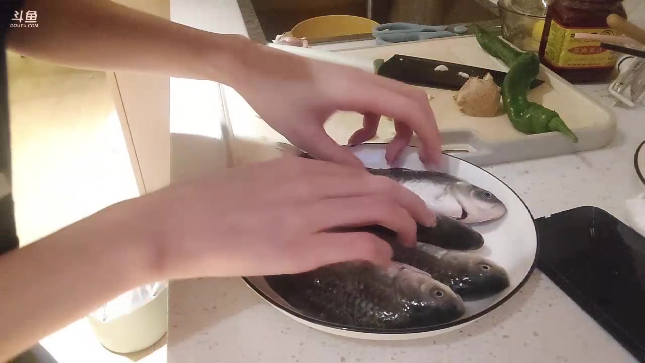 【2023-11-22 18点场】大胖狗koko：农家小鲫鱼 青椒炒蛋