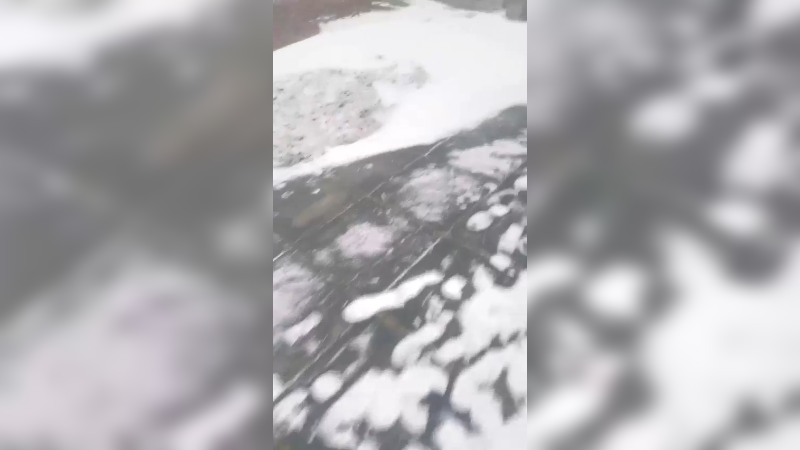 【2023-11-22 14点场】蛋总250:祝小鱼11月23 生日快乐