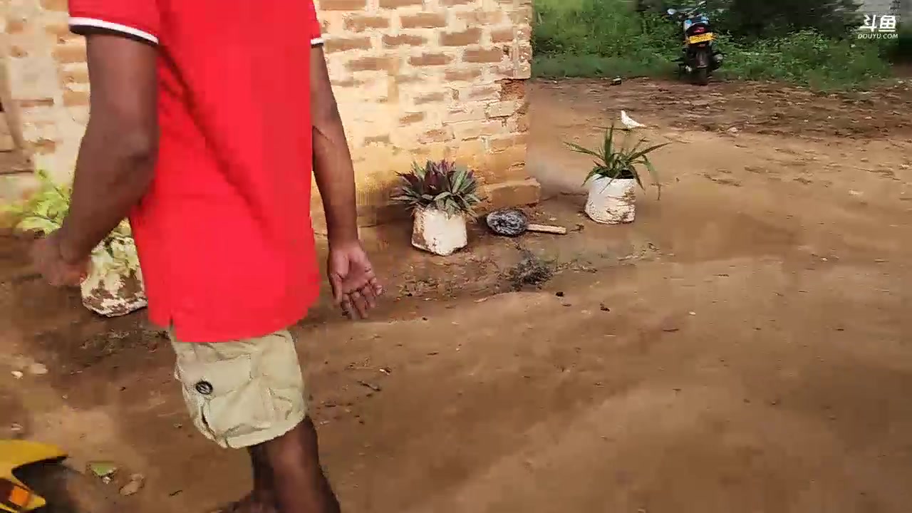 【2023-11-18 17点场】叶子户外：《纪实直播》斯里兰卡day10