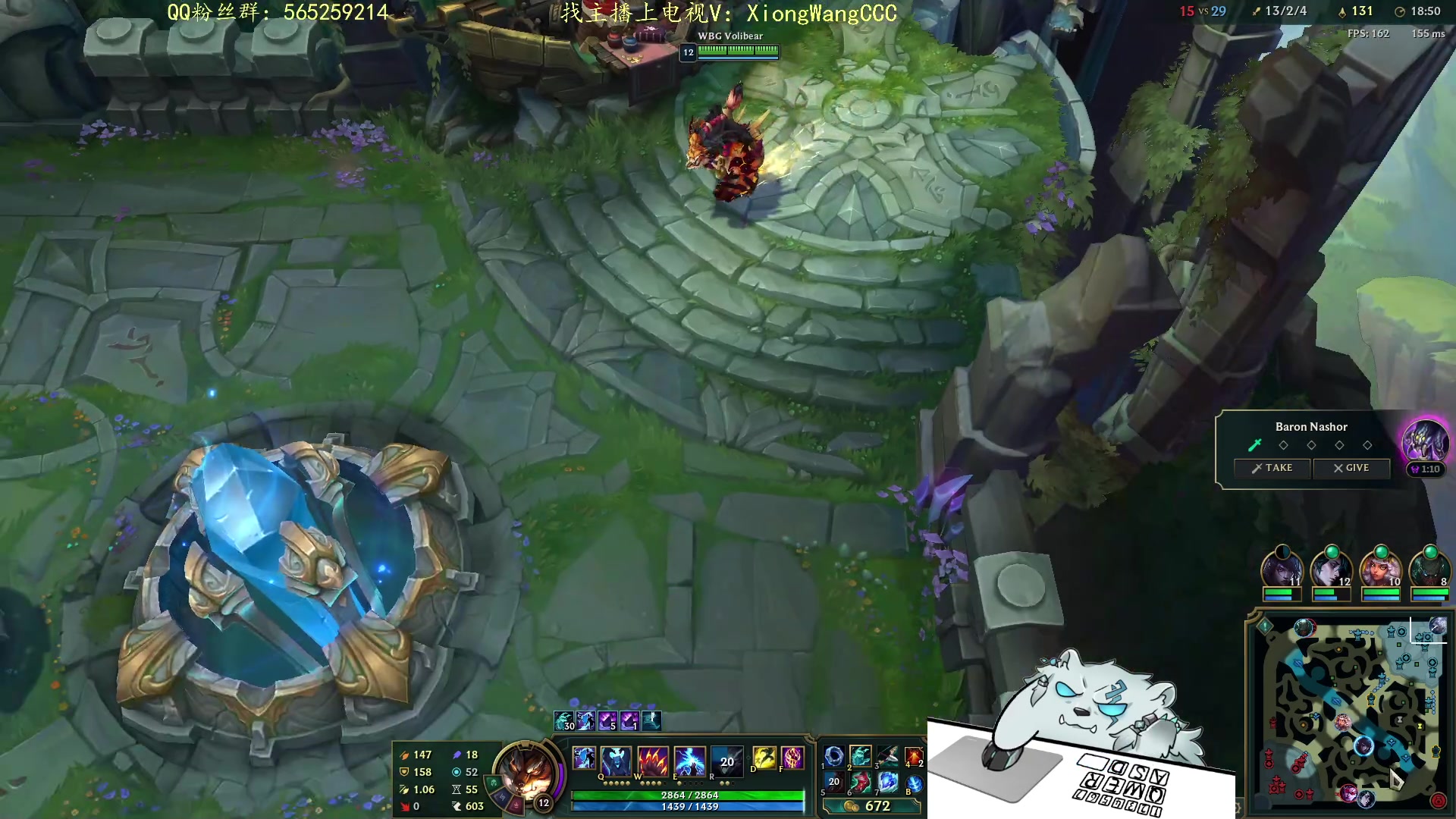 【2023-11-22 00点场】熊王c：当前录像（每天下午六点来）