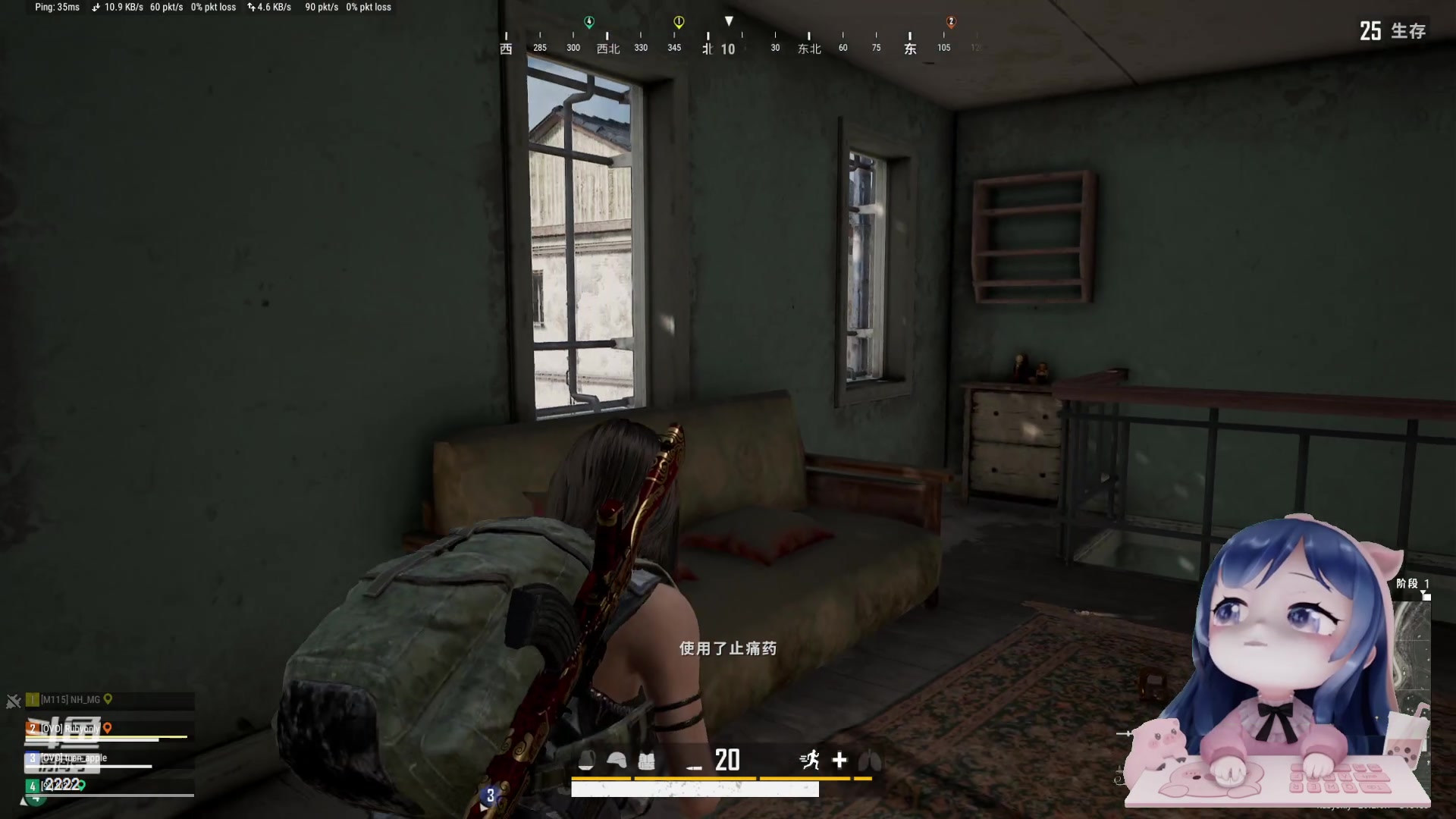 【2023-11-21 21点场】一条小团团OvO：今天拔牙牙，牙痛痛