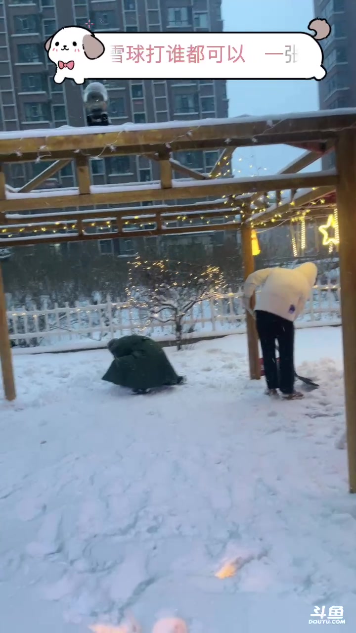 【2023-11-22 15点场】蛋总250:祝小鱼11月23 生日快乐