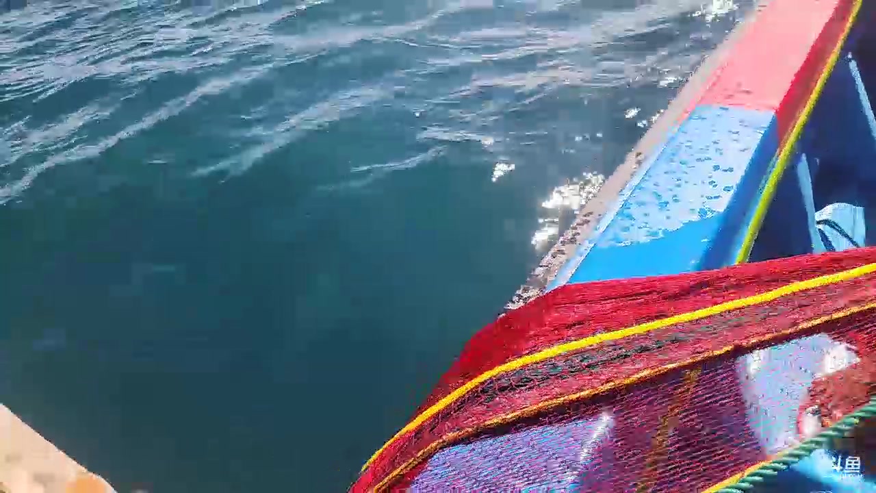 【2023-11-18 15点场】叶子户外：《纪实直播》斯里兰卡day10