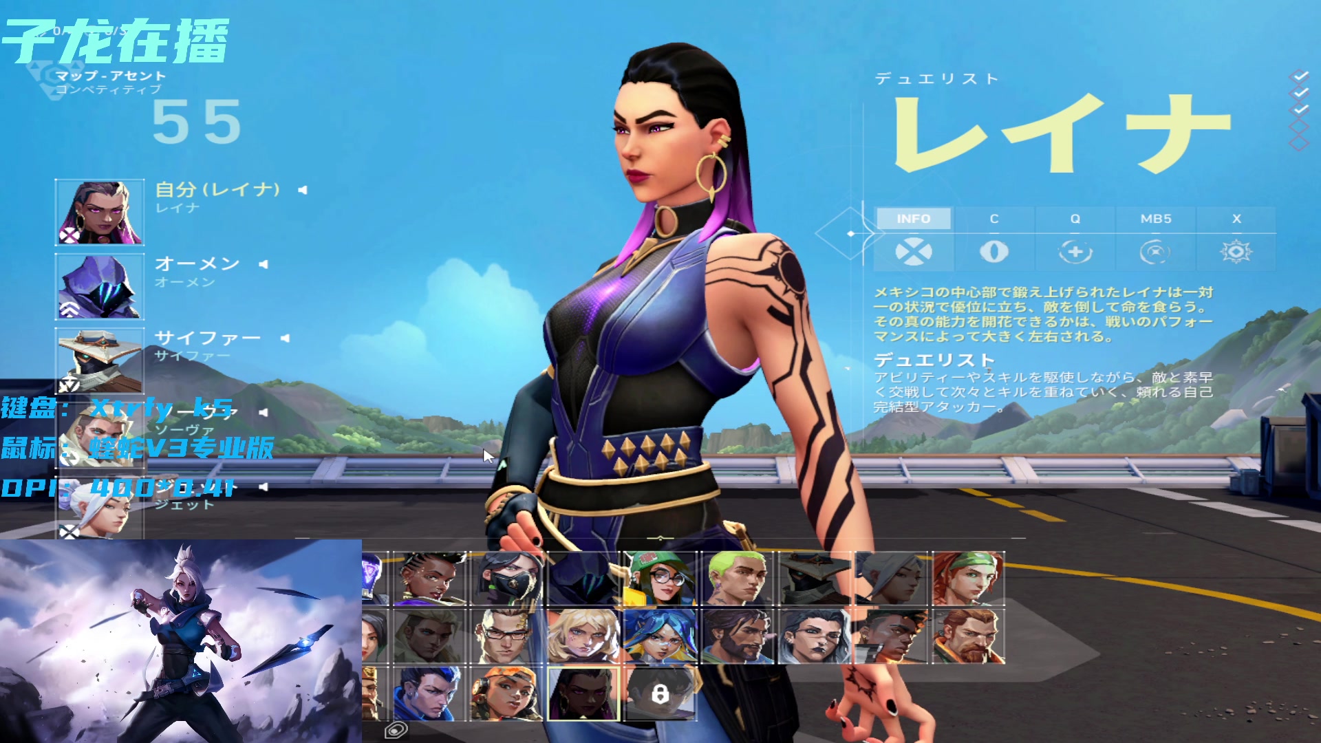 【2023-11-22 09点场】宝贝薇阿：瓦之究极子龙