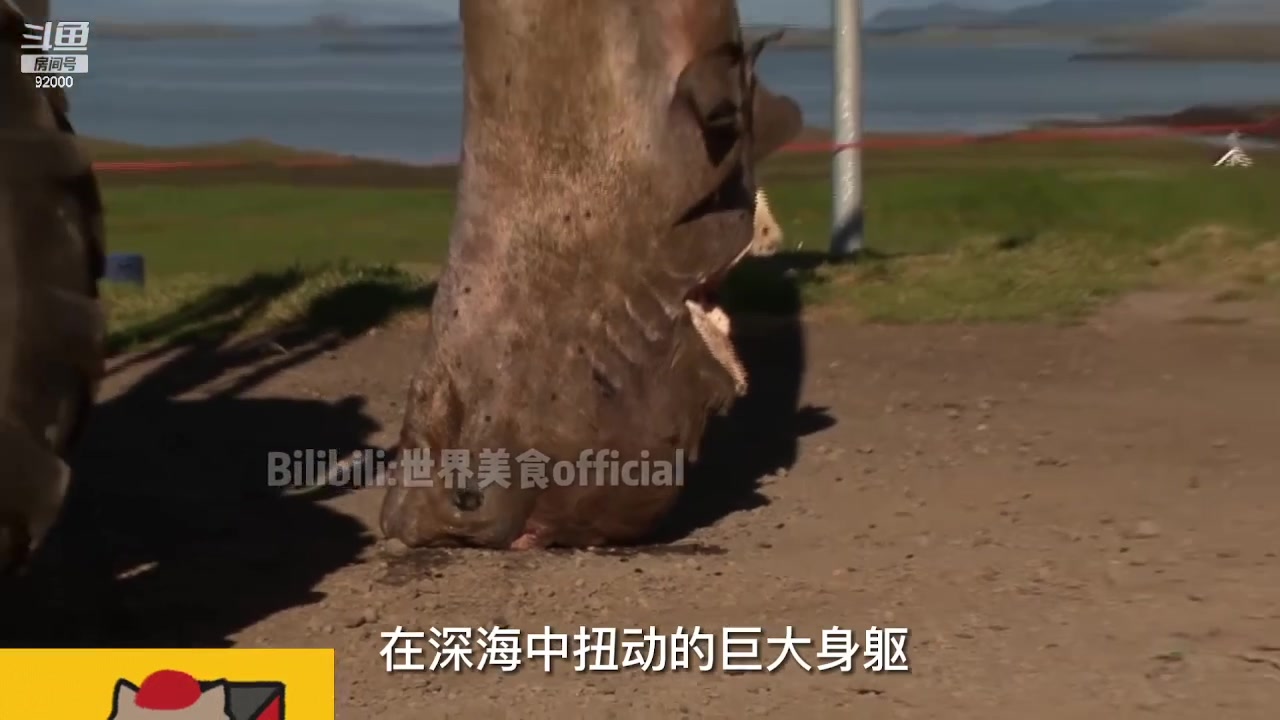 【2023-11-23 10点场】呆妹儿小霸王：【呆妹】一起see