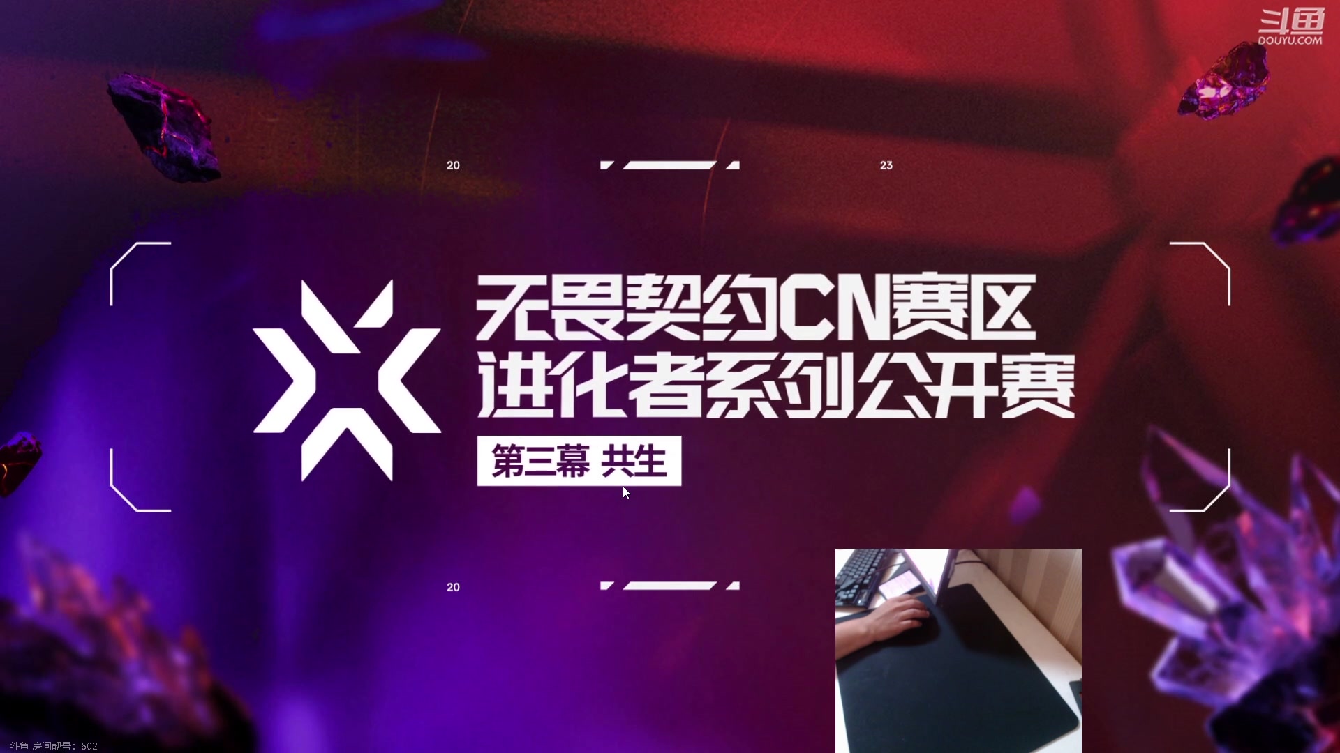 【2023-11-23 19点场】小狮子lionkk丶：K：钻粉打号