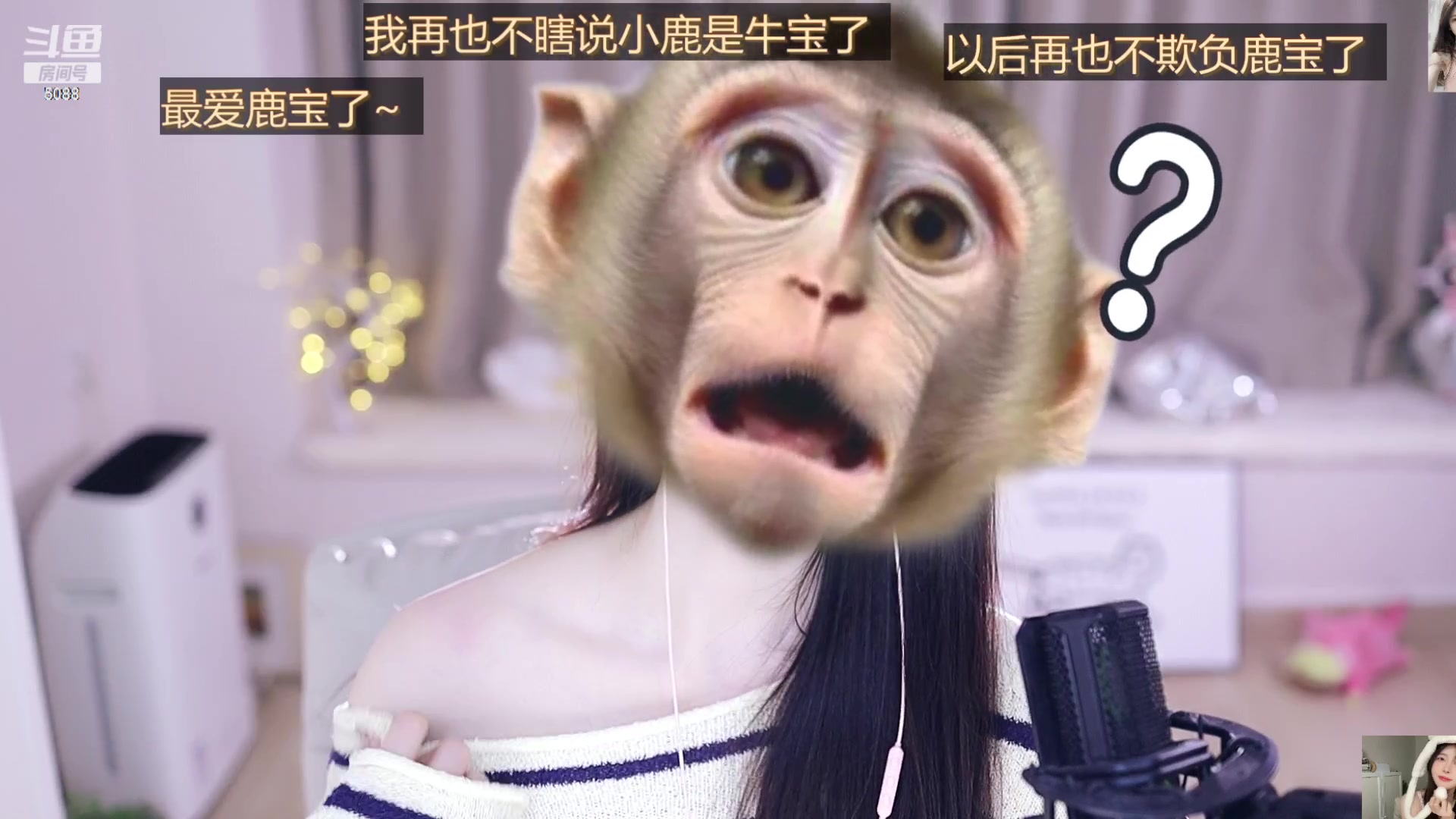 【2023-11-23 18点场】晒网的慧儿呀：小狗努力打工啦
