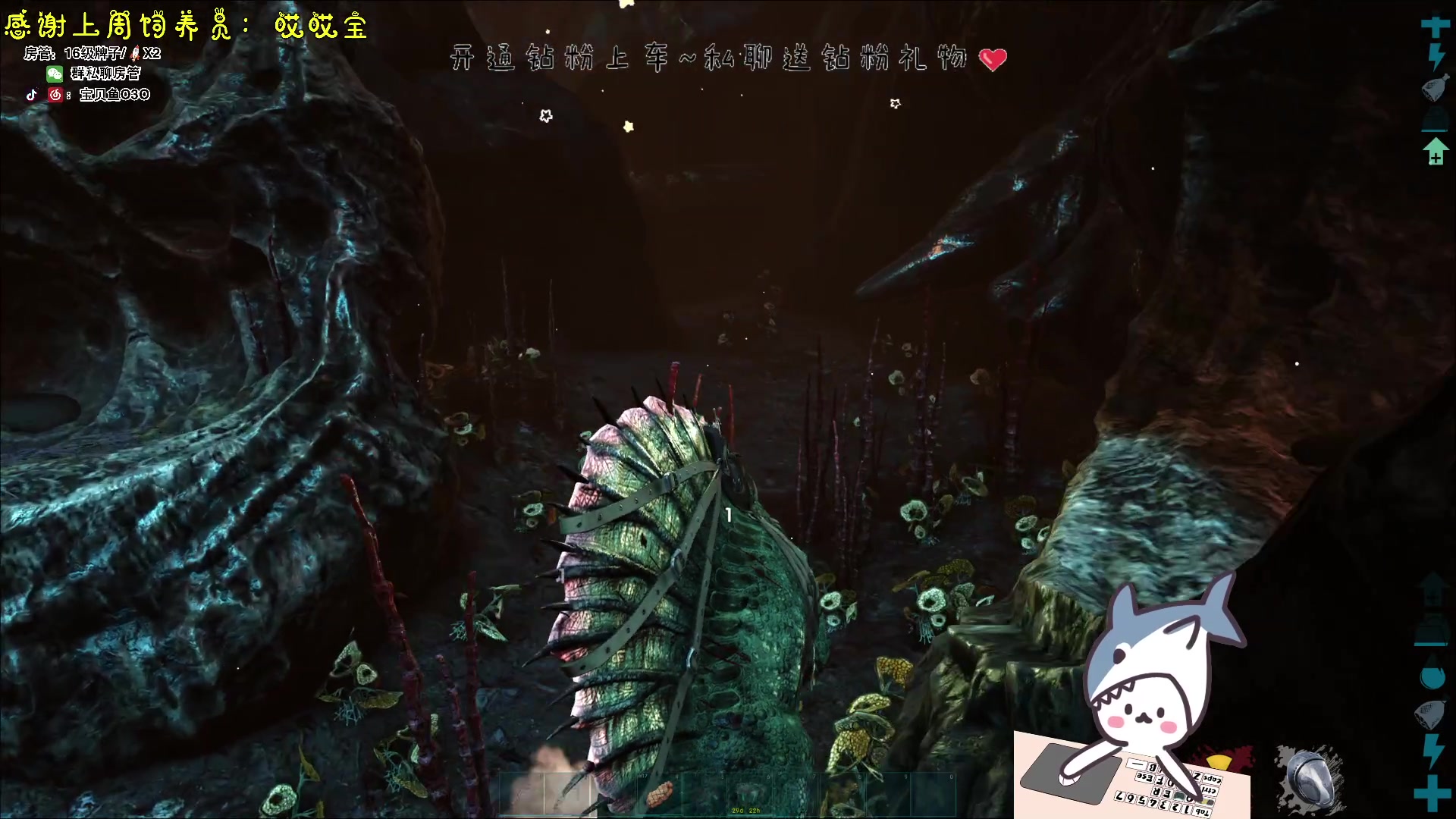 【2023-11-23 17点场】宝贝鱼O3O：宝贝鱼：偷蛋の美女