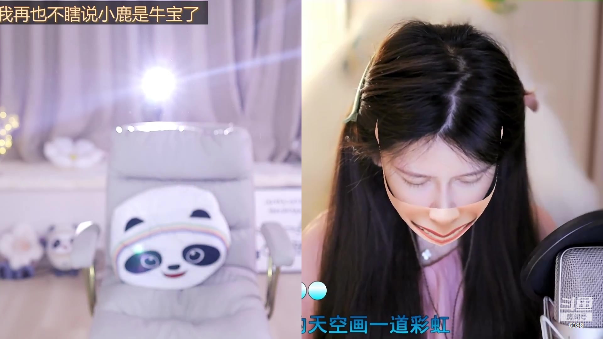 【2023-11-23 16点场】晒网的慧儿呀：小狗努力打工啦