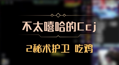 【不太嘻哈的Ccj】2秘术护卫 吃鸡