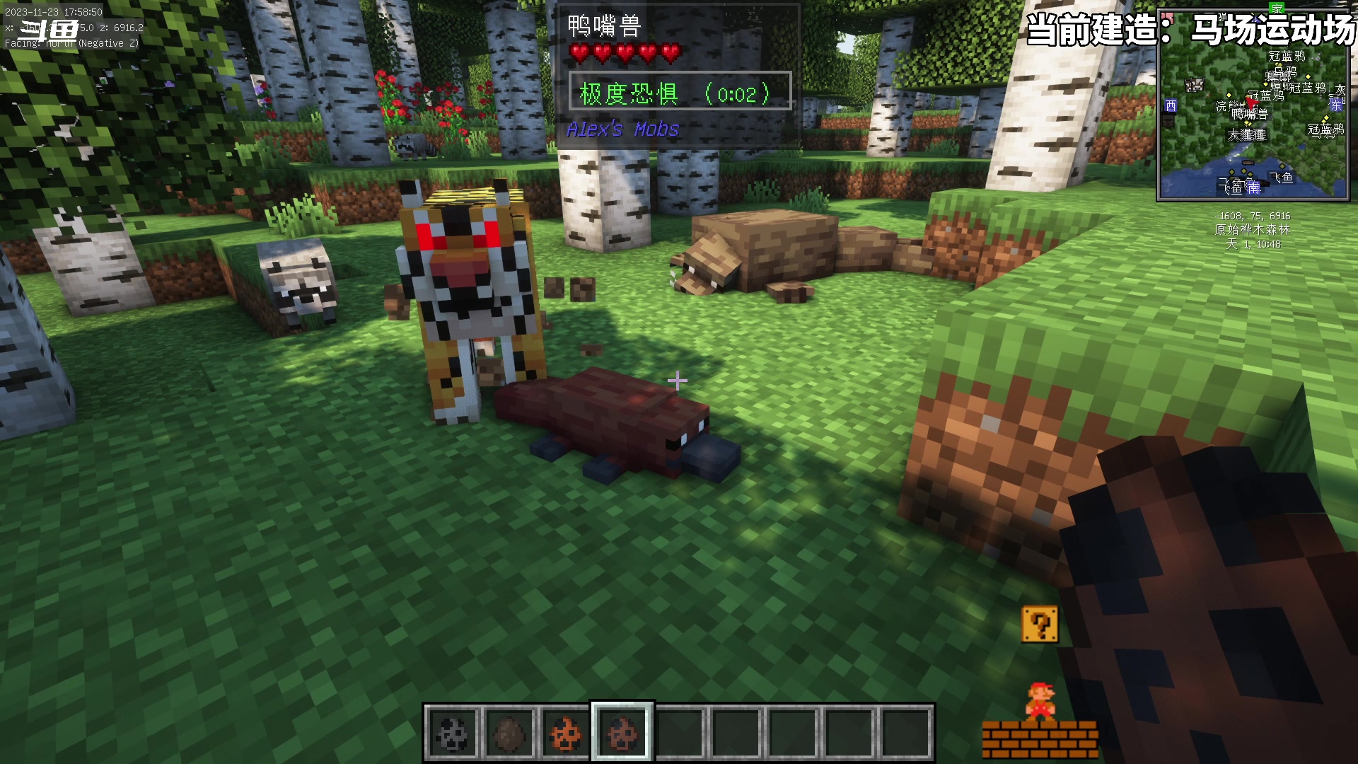 【2023-11-23 17点场】隐者丶丶：一个超级勤奋的小蜜蜂