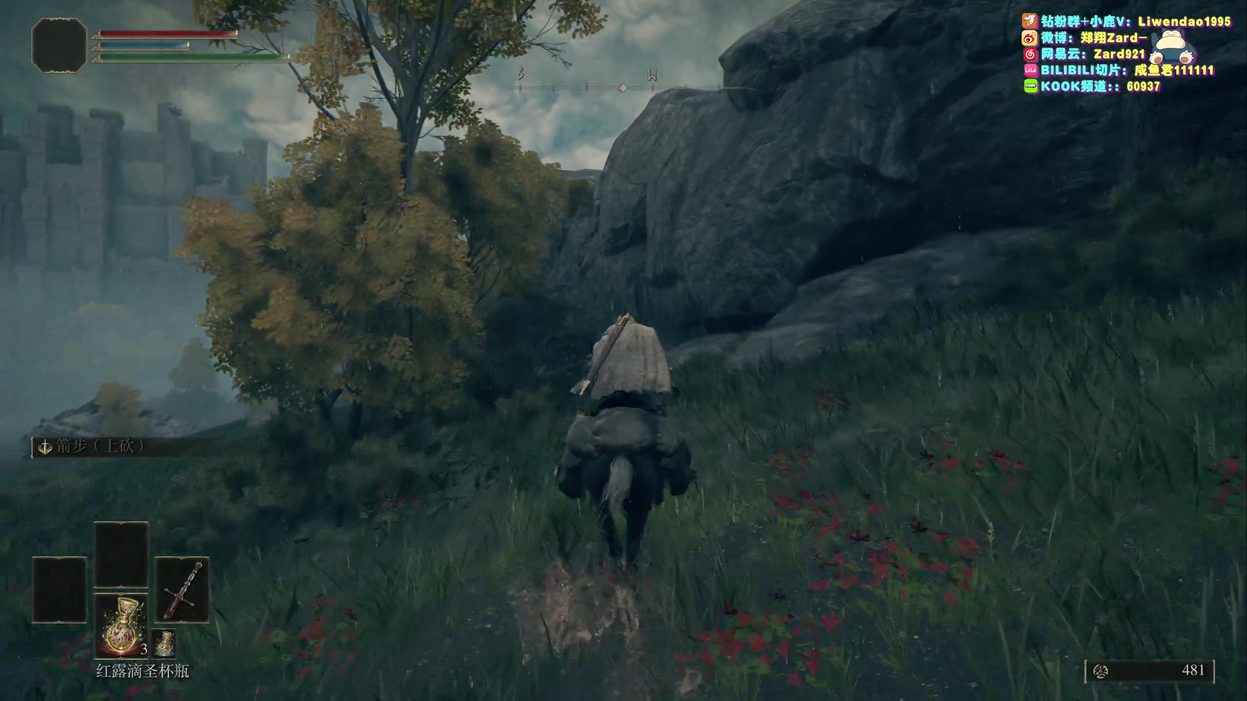 【2023-11-23 11点场】zard1991：Zard1991 chill dude