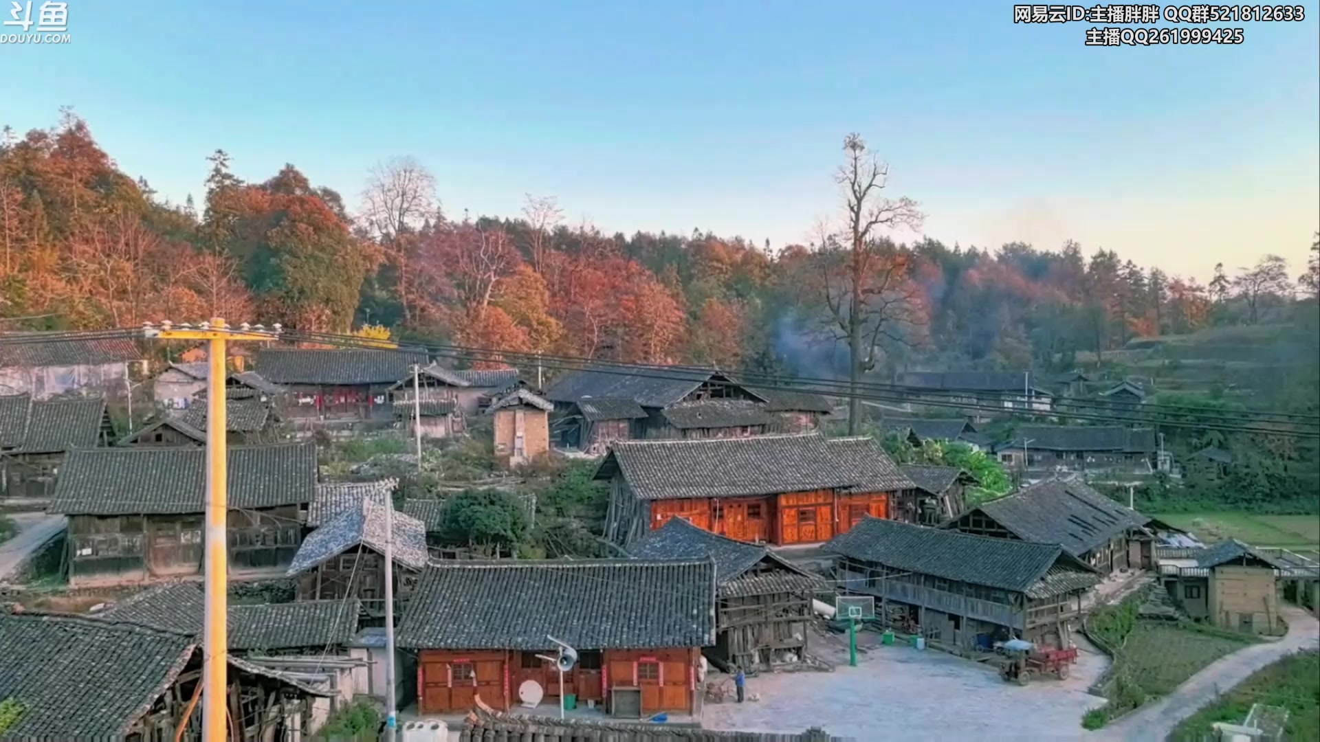 【2023-11-24 02点场】胖胖灬：胖胖OB：LPL转会期 韩服Rank