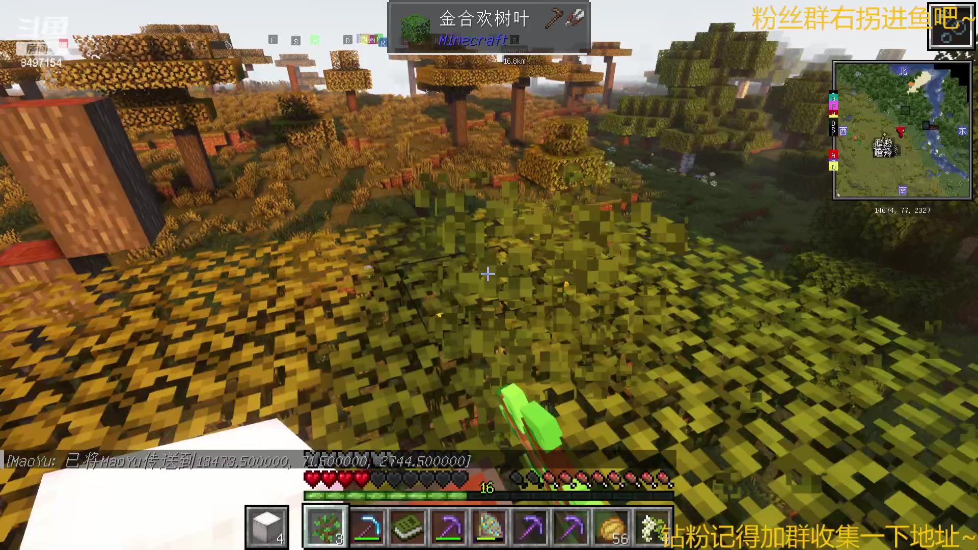 【2023-11-24 00点场】WE丶994：MC启动！建造赛马场~