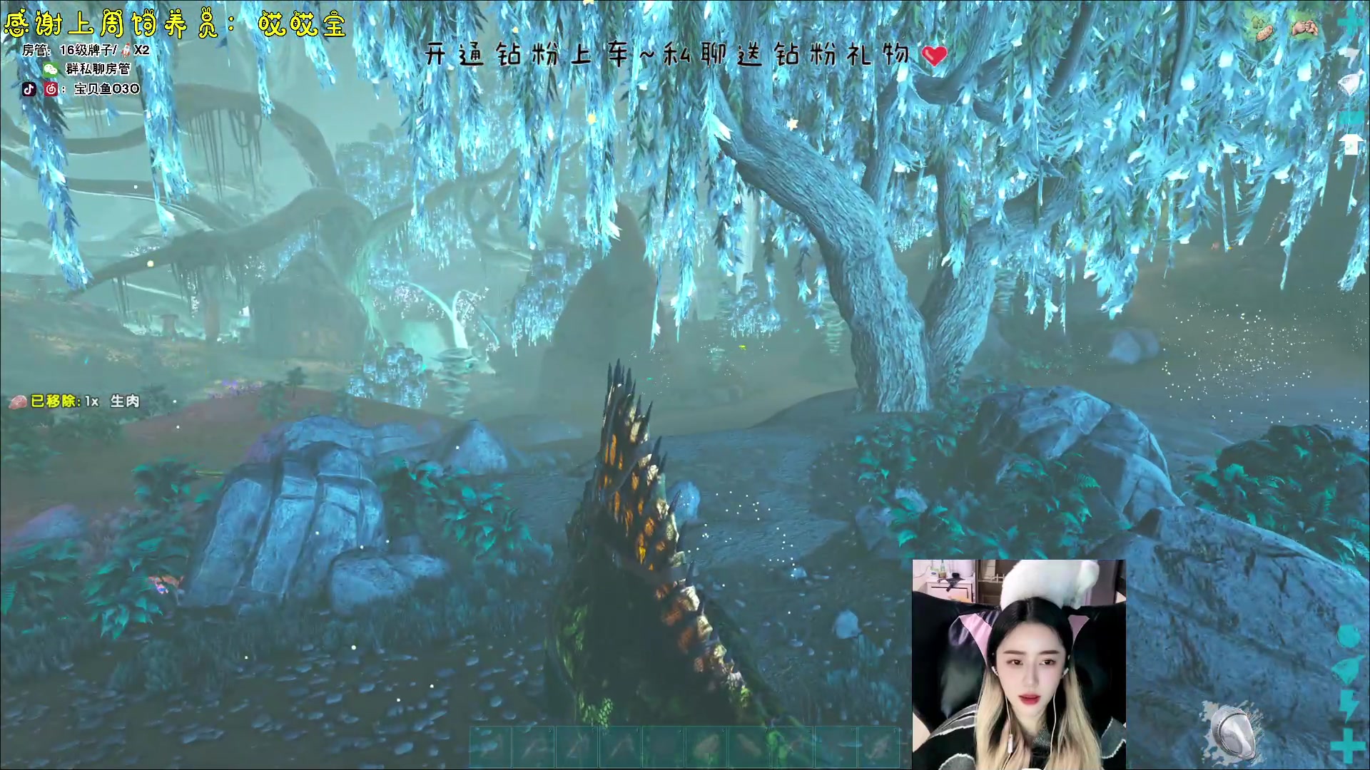 【2023-11-24 17点场】宝贝鱼O3O：宝贝鱼：偷蛋の美女