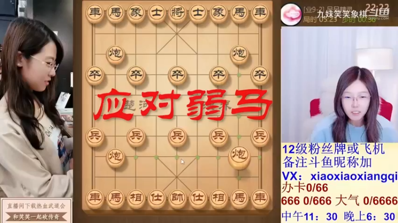 应对弱马