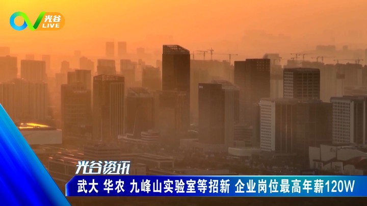 20231124光谷新闻周五版
