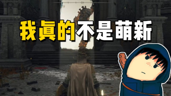 我真的不是萌新