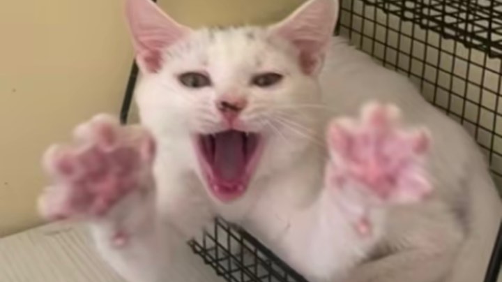 你们要的鬼屋历险，我看看能不能上传