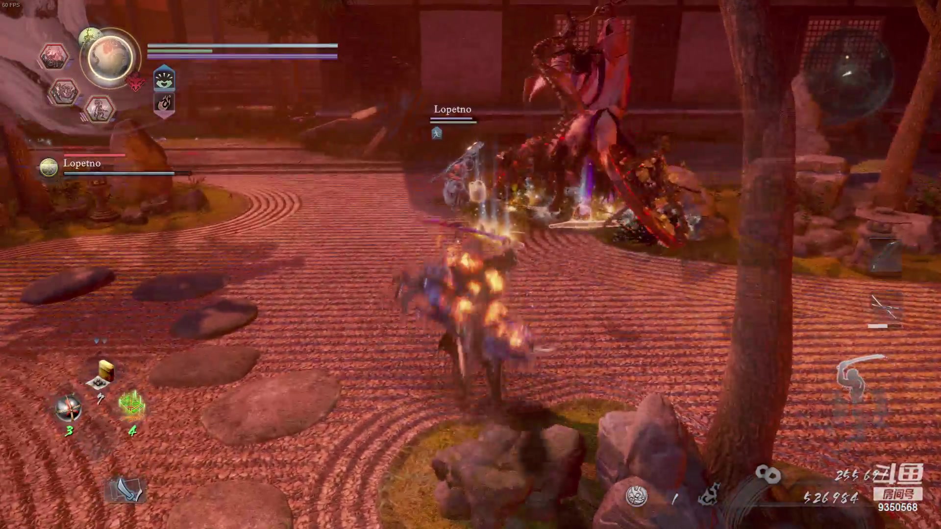 【2023-11-25 04点场】THANATOS0v0：红色虞美人 ！9350568