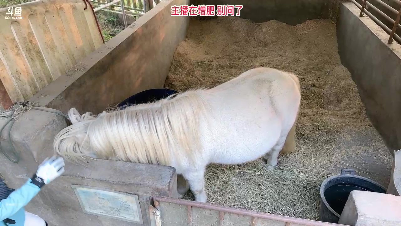 【2023-11-25 16点场】叁三QvQ：一起开心上班把~