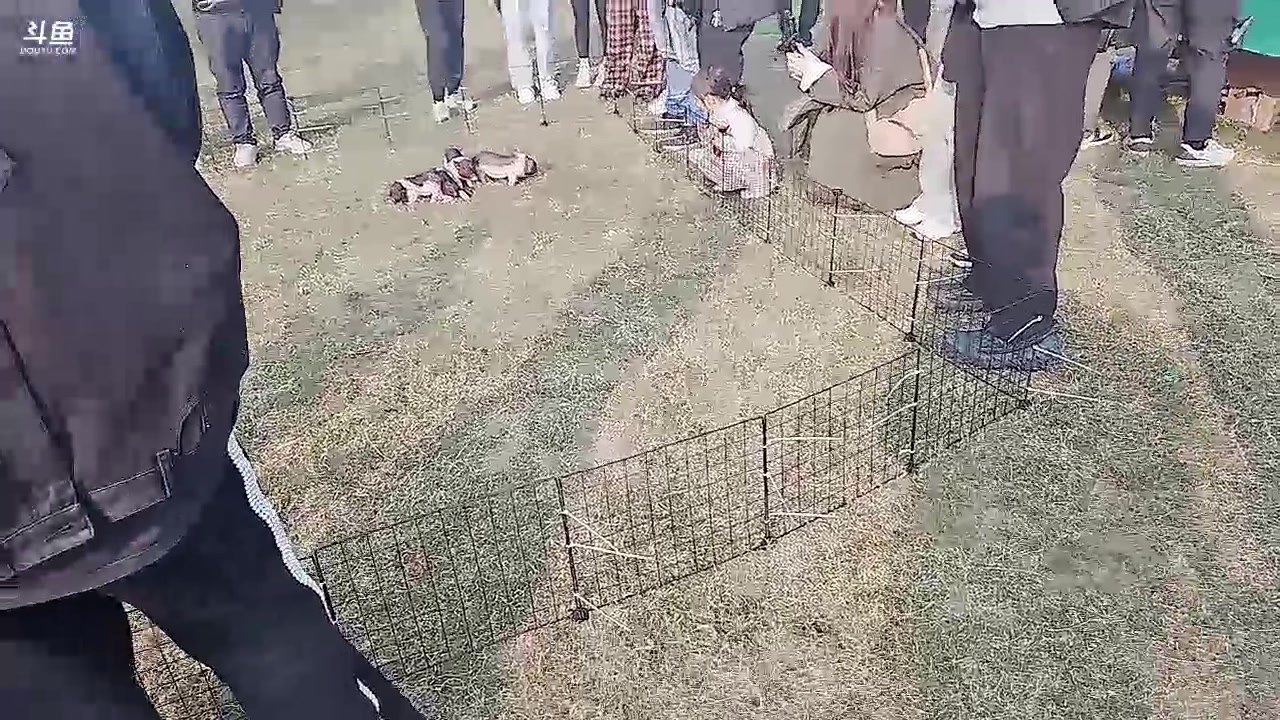 【2023-11-25 14点场】王大谋119：[小奶团] 今天下午抵达长沙，户外