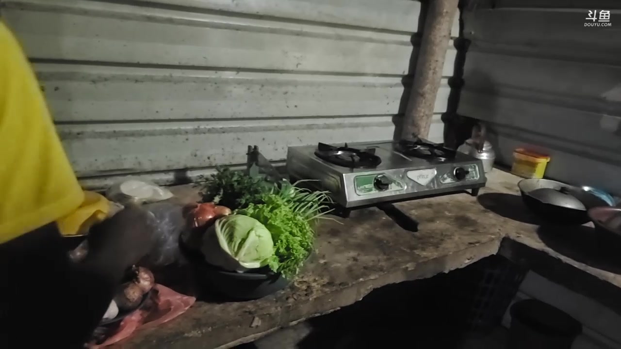 【2023-11-21 21点场】叶子户外：《纪实直播》斯里兰卡day13