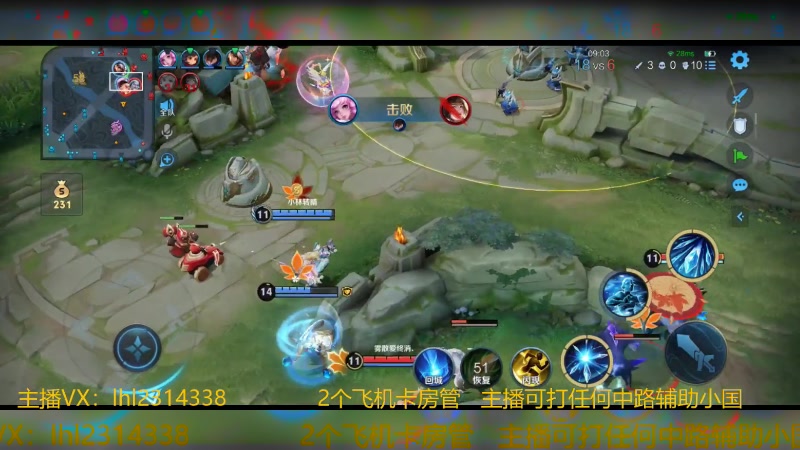 【2023-11-26 18点场】国服老狐狸：国服妲己：进来学技术了