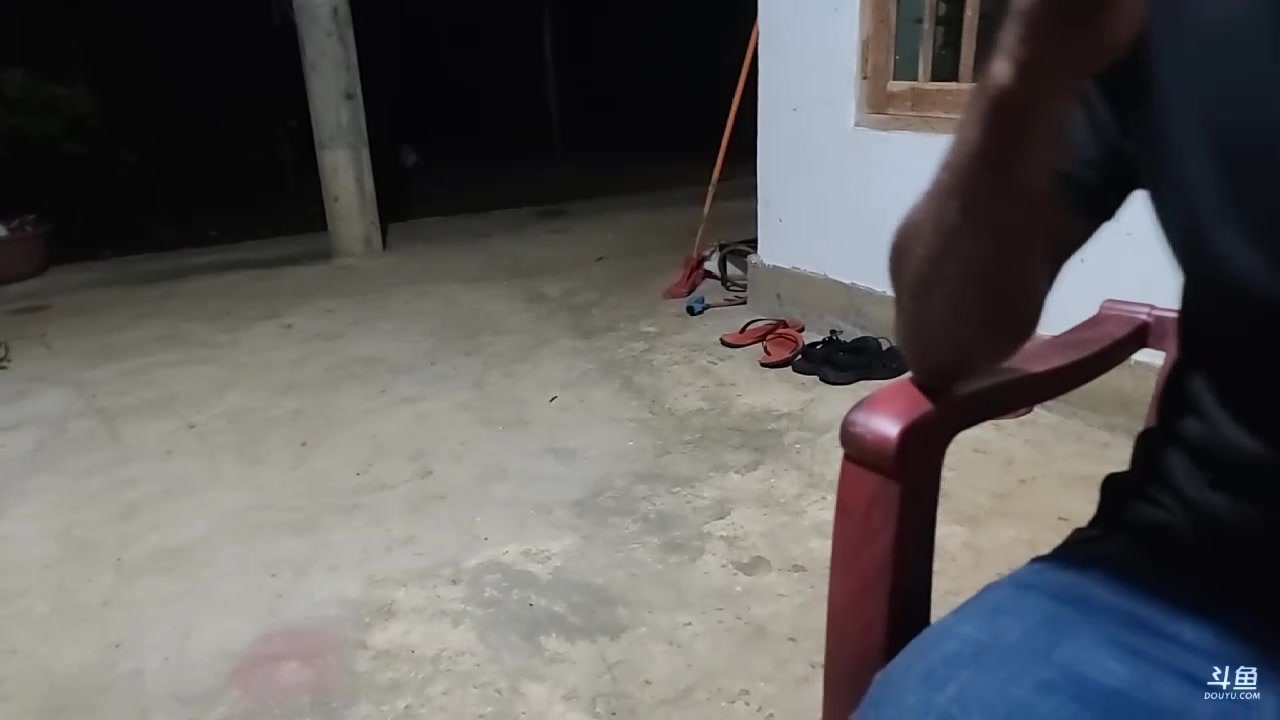 【2023-11-21 01点场】叶子户外：《纪实直播》斯里兰卡day11