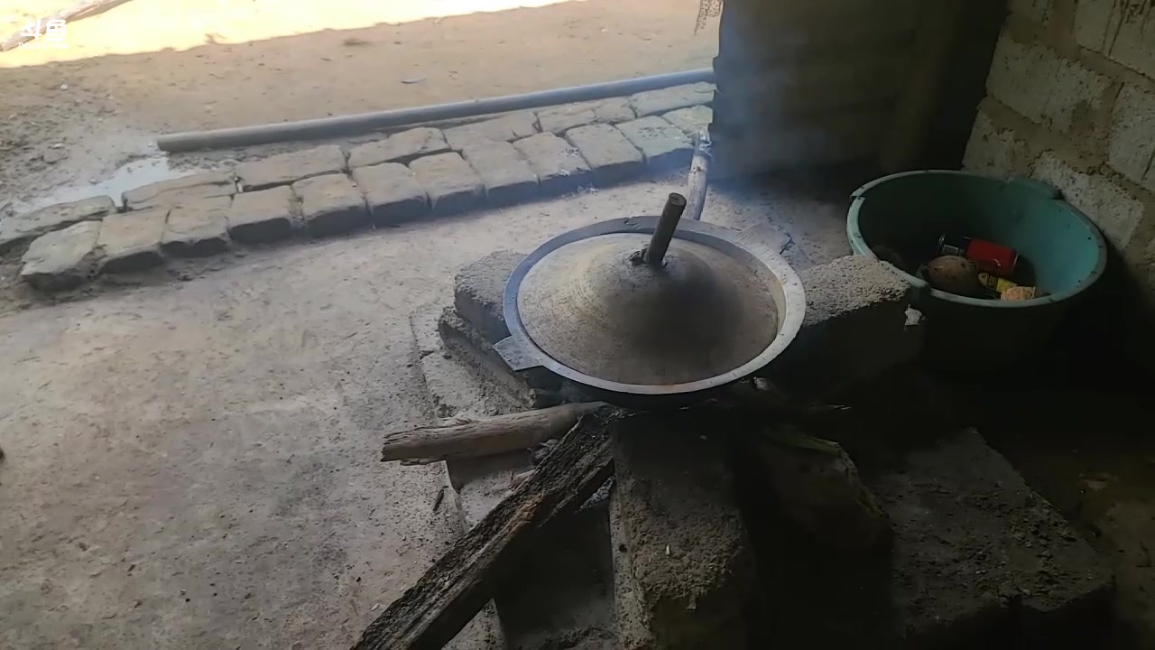 【2023-11-22 11点场】叶子户外：《纪实直播》斯里兰卡day14