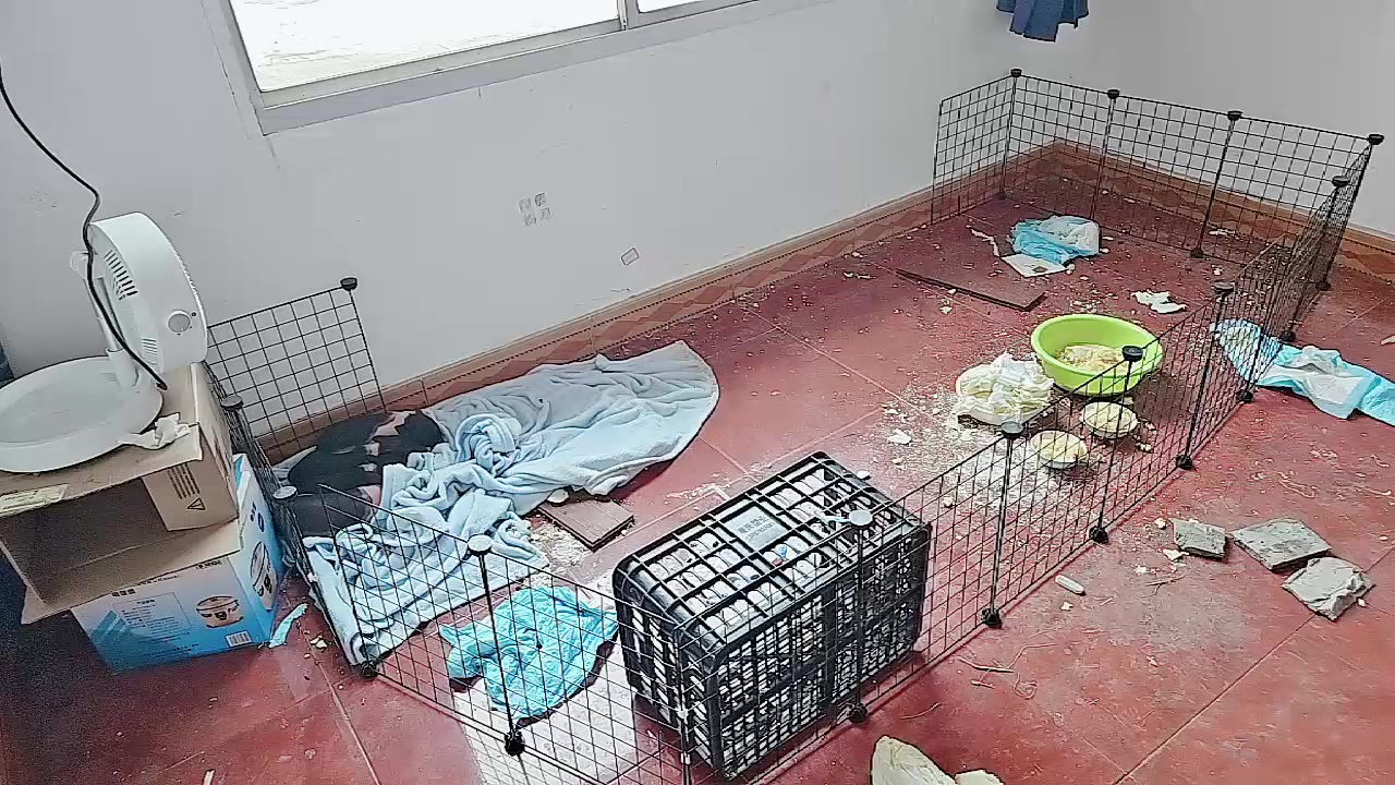 【2023-11-26 10点场】王大谋119：[小奶团] 今天下午抵达长沙，户外