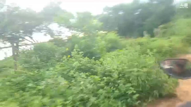 【2023-11-21 19点场】叶子户外：《纪实直播》斯里兰卡day13